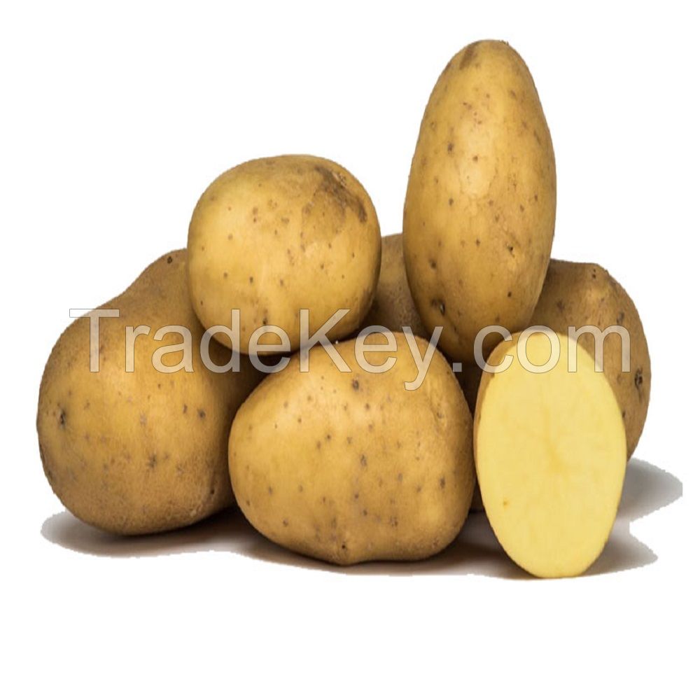 High quality Fresh Potatoes, Onion