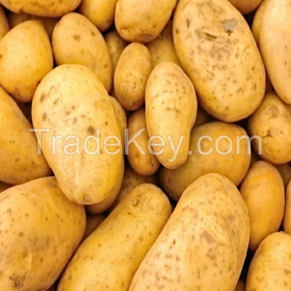 Fresh Potato for Sale