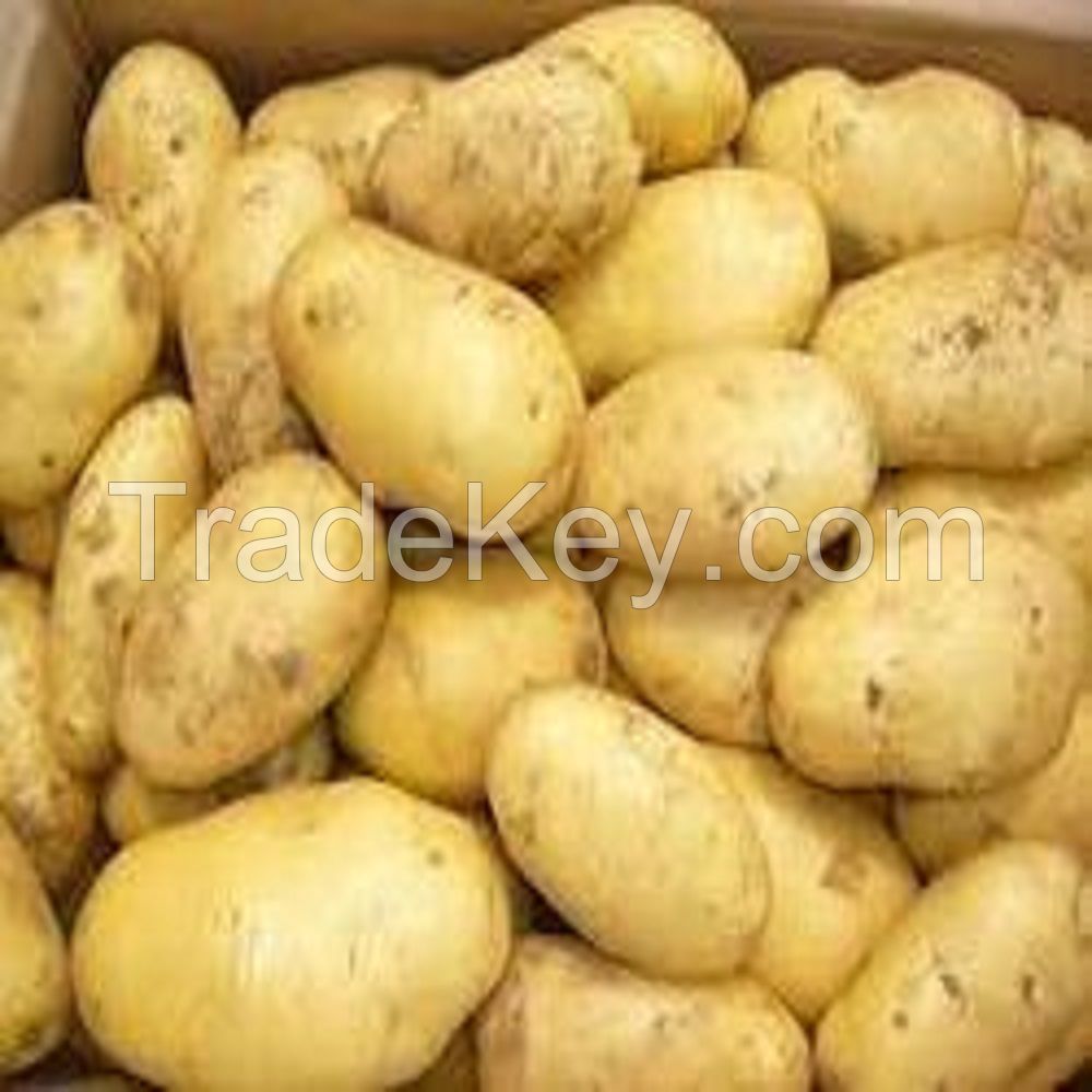 High quality Fresh Potatoes, Onion