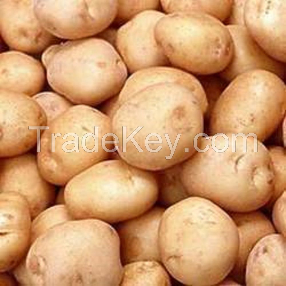 High quality Fresh Potatoes, Onion