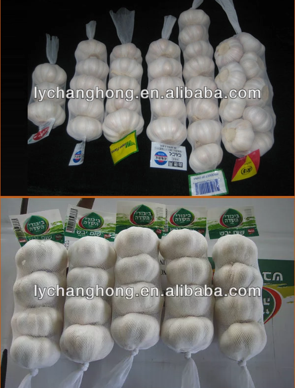 Best Selling China Fresh White Garlic,Good Farmer Garlic,Wholesale Price