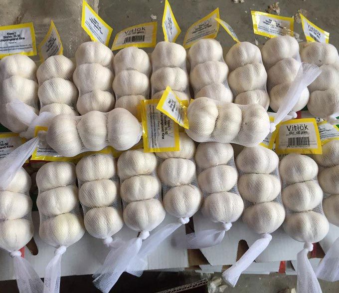 Hot sale china fresh white garlic best price with high quality
