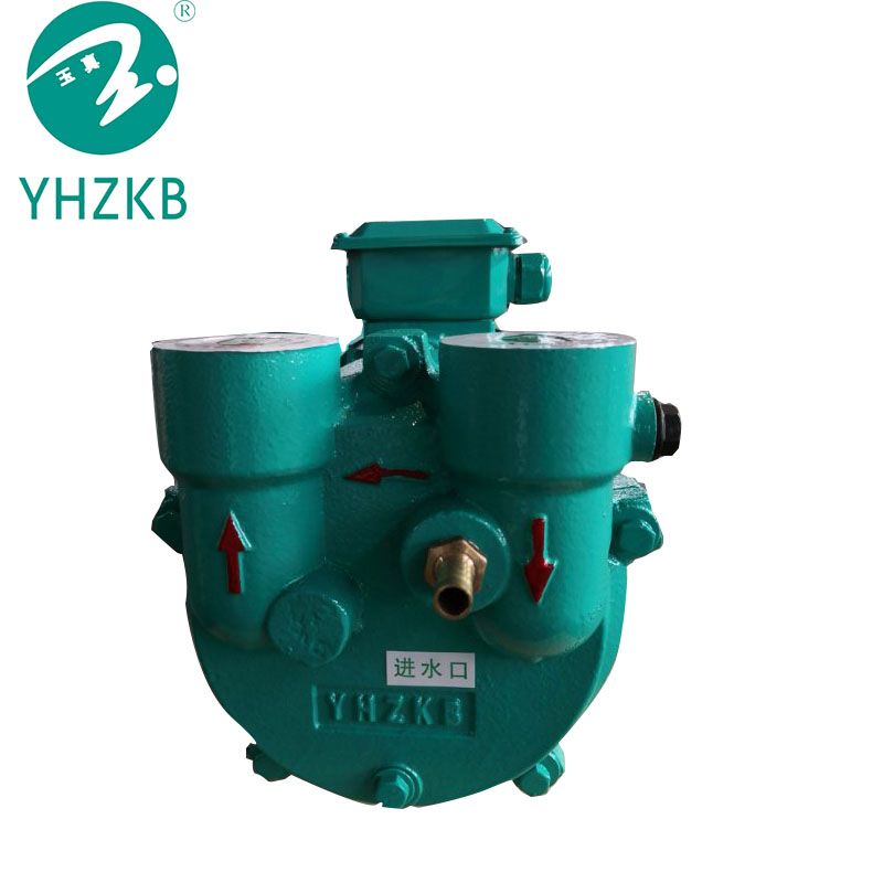 Liquid ring vacuum pump