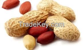 Groundnuts (Pea) 