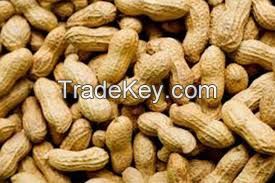 Groundnuts (Pea) 