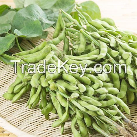 soybeans and soyfoods