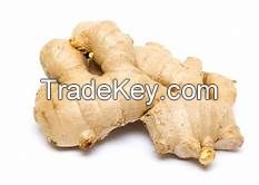 Organic Ginger