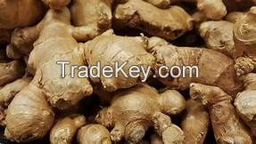 Organic Ginger