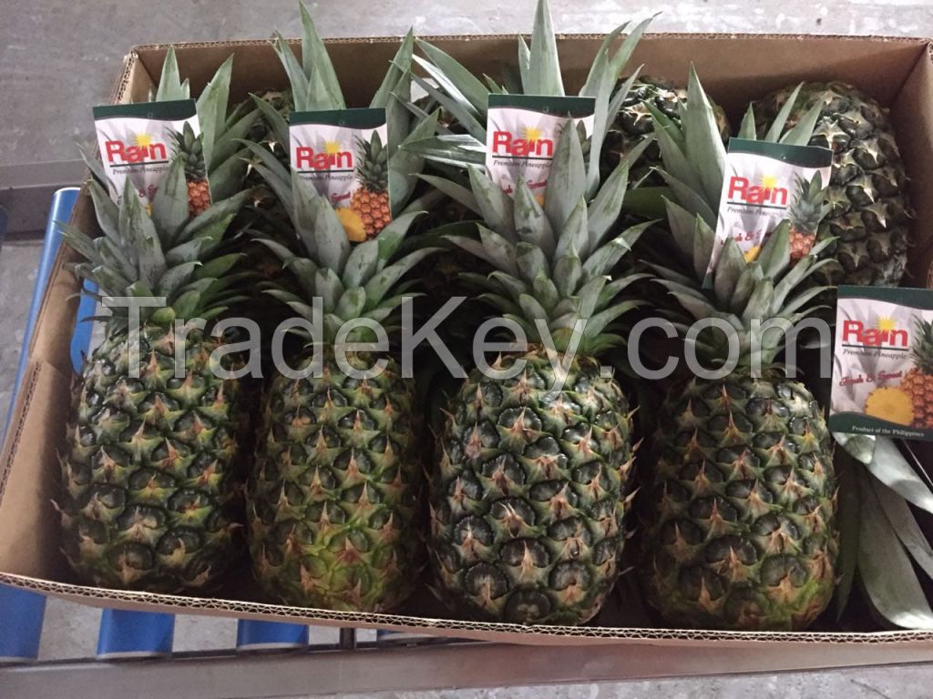 Philippines Golden MD2 Fresh Pineapple Grade AAA