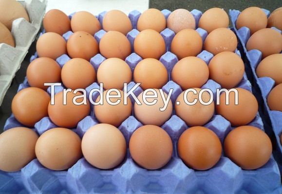 White And Brown Fresh Eggs