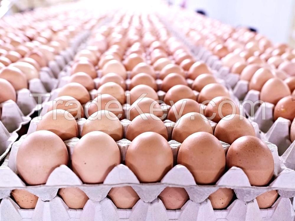 Fresh Table White And Brown Chicken Eggs