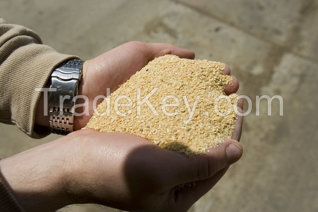 Soybean Meal (With A 50% Soy Protein)