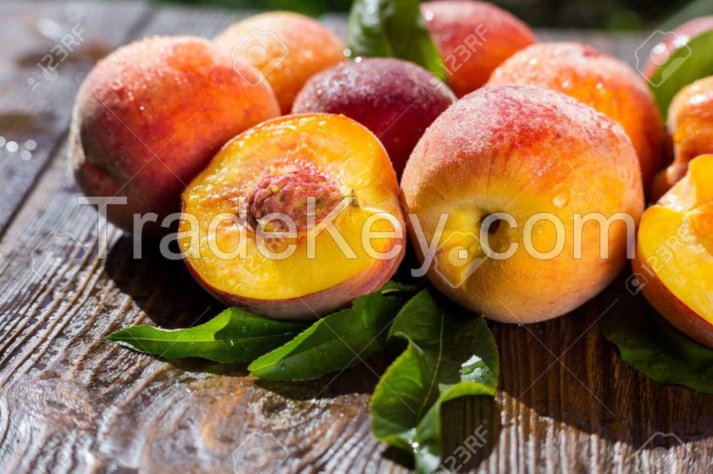 South African Fresh Fruit Wholesale Price