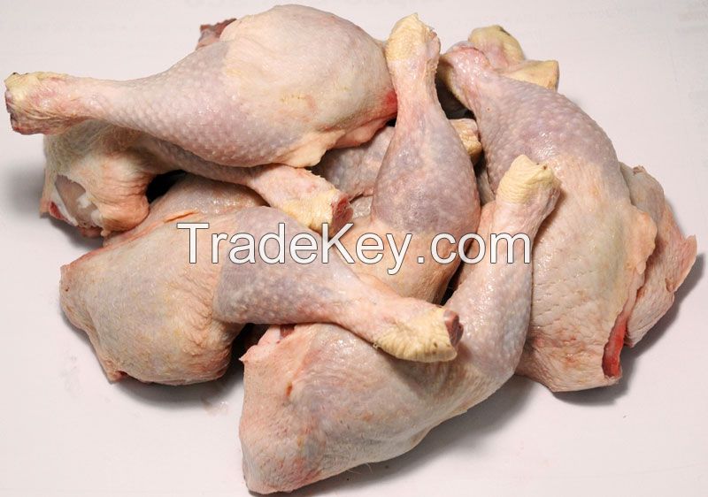 Frozen Chicken Manufacturers | Frozen Chicken Suppliers