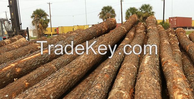 Radiate Pine Logs Yellow Pine Wood Logs