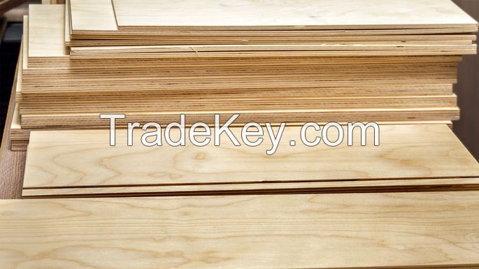 Raw MDF, White MDF, Wood Desing MDF