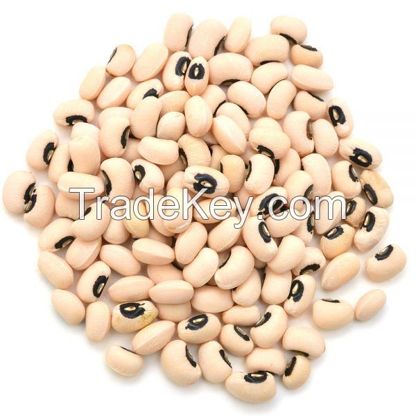 Black Eye (Vigna Beans) - Black Eyed Beans