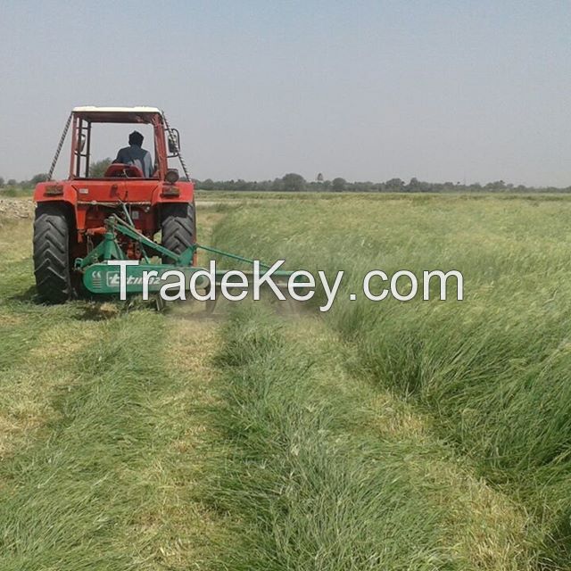 Quality Alfalfa Hay Bales