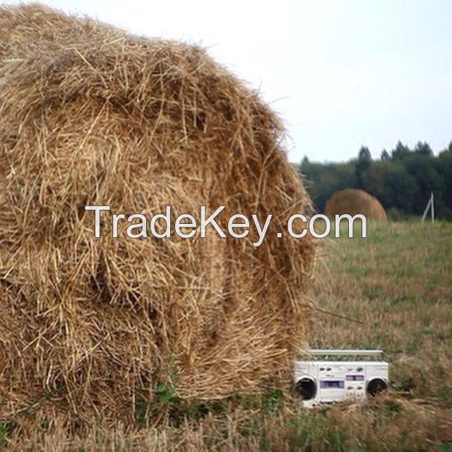 high quality alfalfa hay, alfalfa hay price, alfalfa hay bales