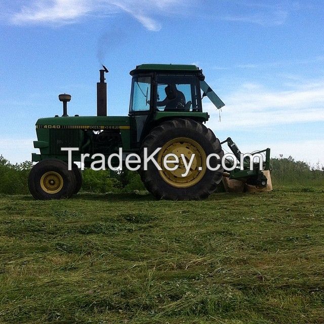 Premium Grade A Alfalfa Hay, Timothy Hay, Animal Feed for sale