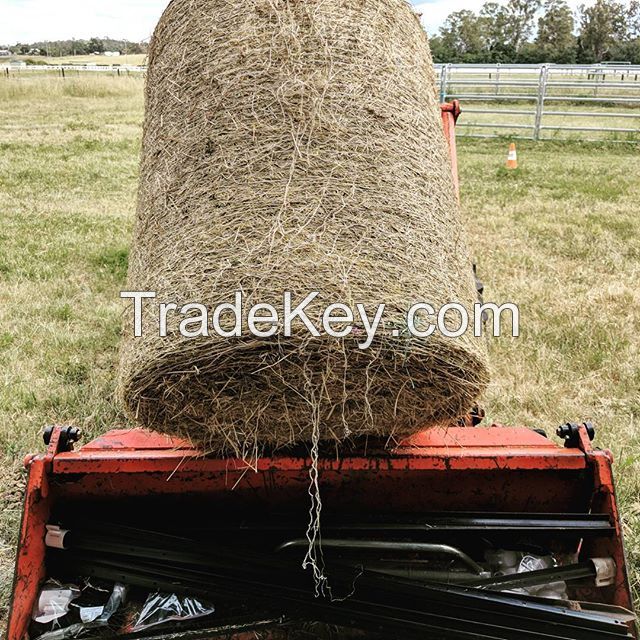 Cheap Alfafa Hay for Animal Feeding Stuff Alfalfa, hay/alfalfa hay pellets