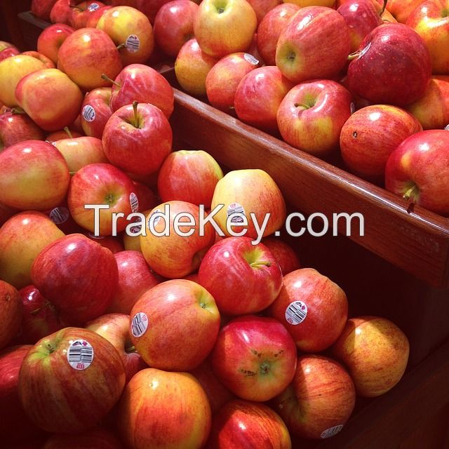 2019 new fresh fruits red Fuji apples