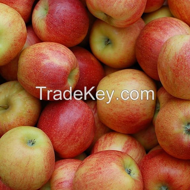 Fresh red delicious apple products