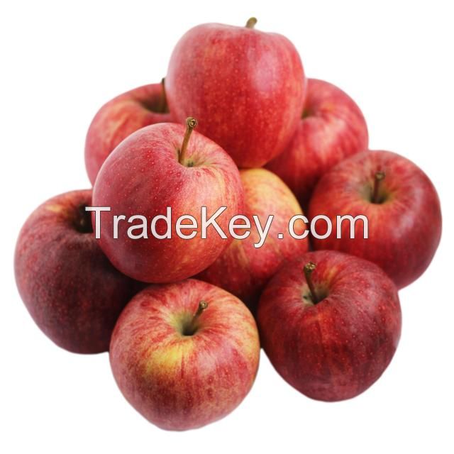 Fresh Apples Red Chief Red Delicious Polish origin