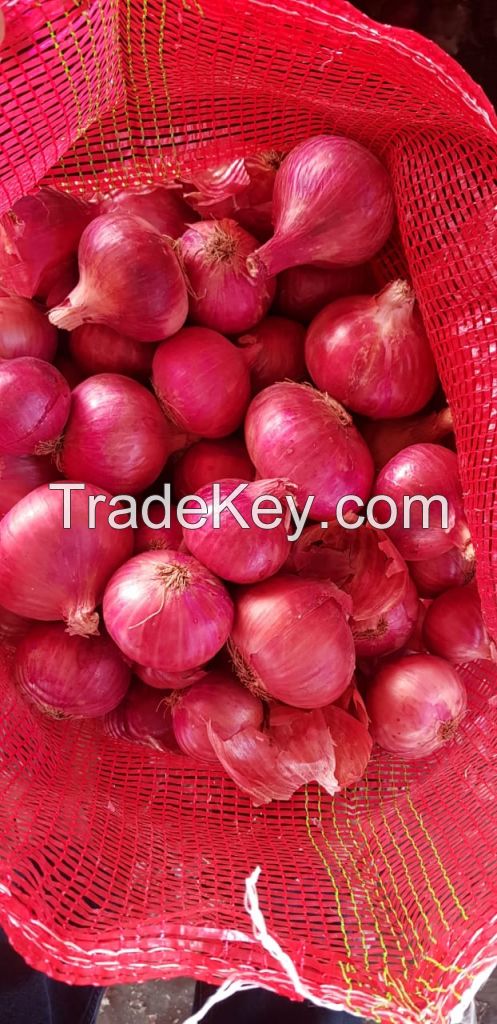 Fresh Indian Onions