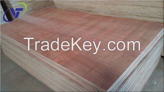Packing Plywood Bintangor Grade AB