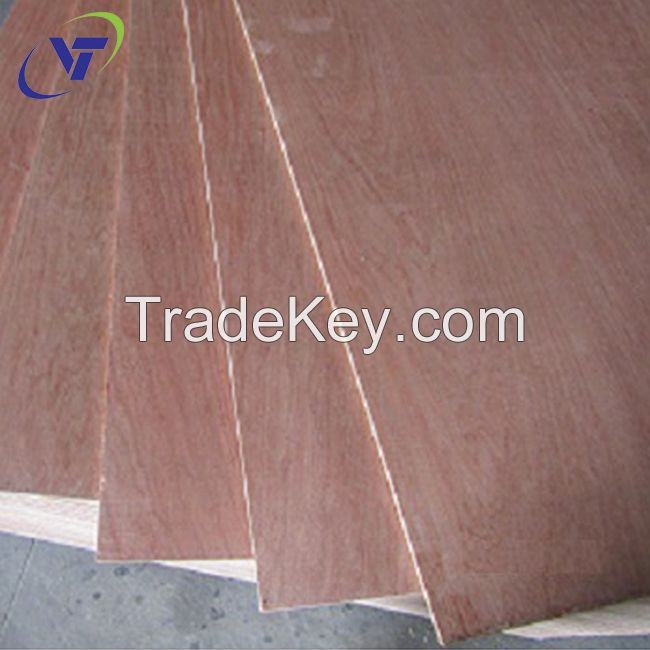 commercial plywood bintangor BBCC