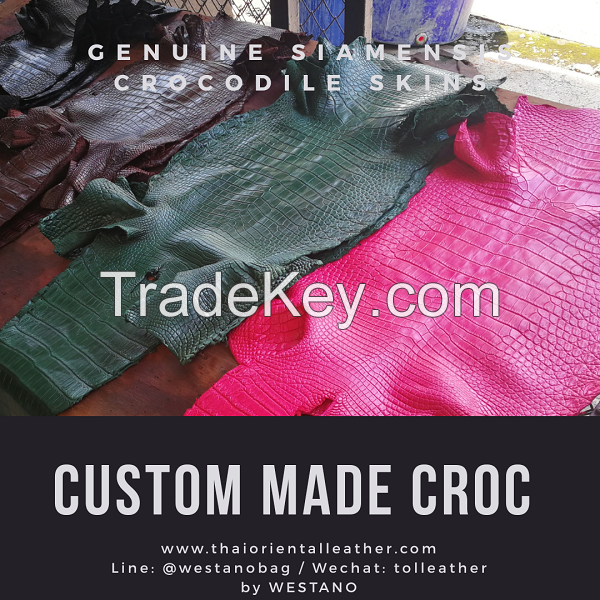 Genuine Alligator/Crocodile Leather Skins, Finished Crocodile Leather. Siamensis Crocodile Leathers Wholesale Factory Thailand