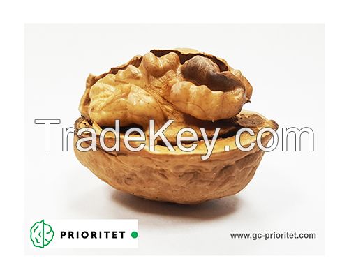 Walnut kernel High Quality Made in Ukraine