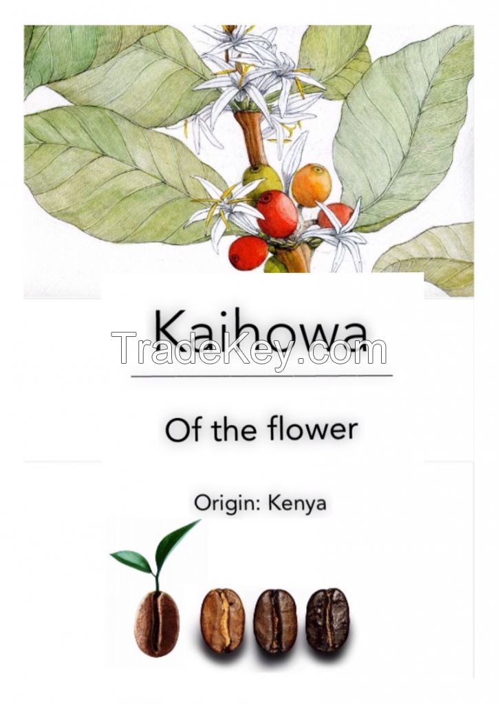 Kaihowa Kenyan AA coffee