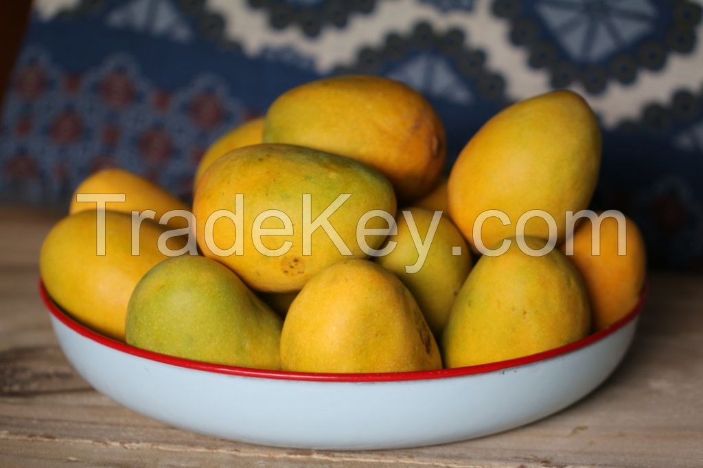 Mangos for wholesale from Kaihowa (in Kenya) 