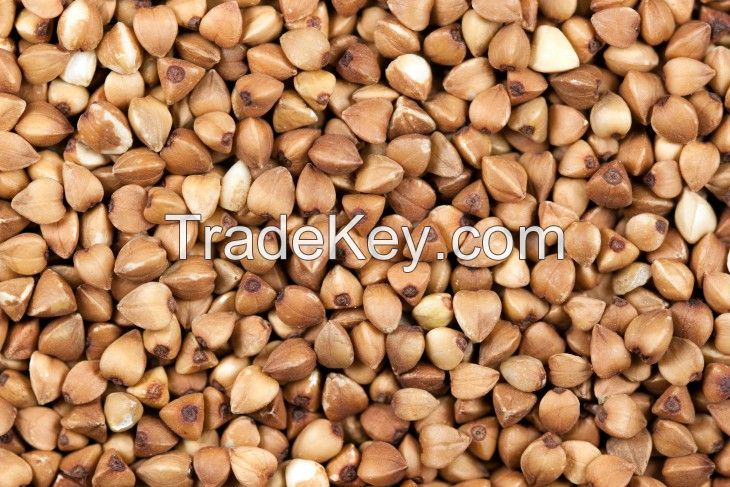 Buckwheat! Best price! Worldwide delivery!