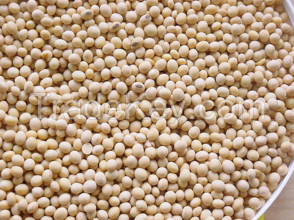 Soybeans! Best price! Worldwide delivery!