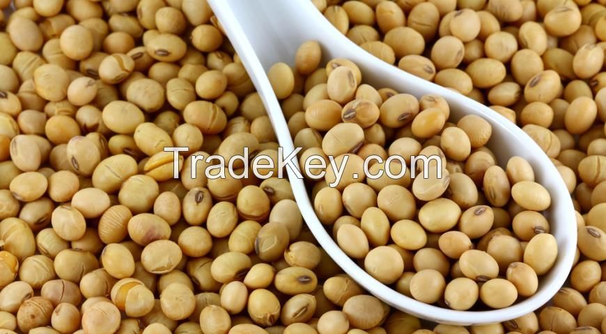 Soybeans! Best price! Worldwide delivery!