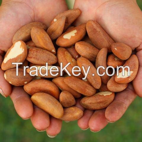 Brazil Nuts