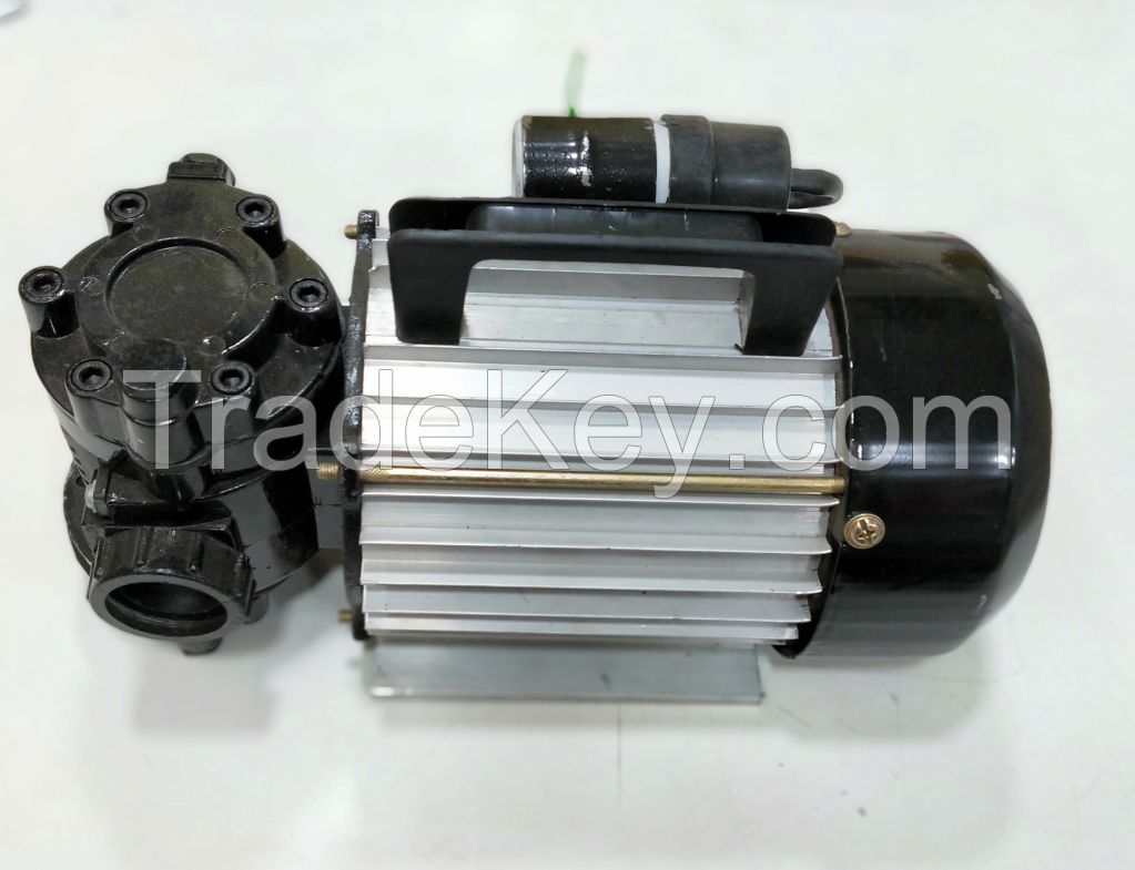 Roropower LPG Transfer Pump ( 220v AC )