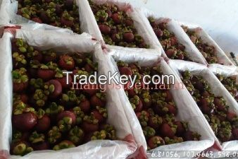 Mangosteen fresh fruit