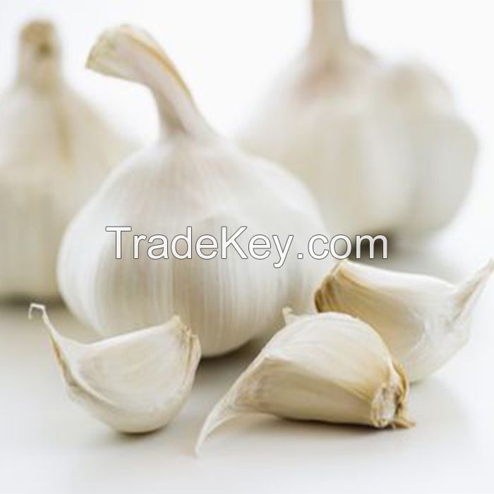 Ukrainian Fresh Organic White Garlic