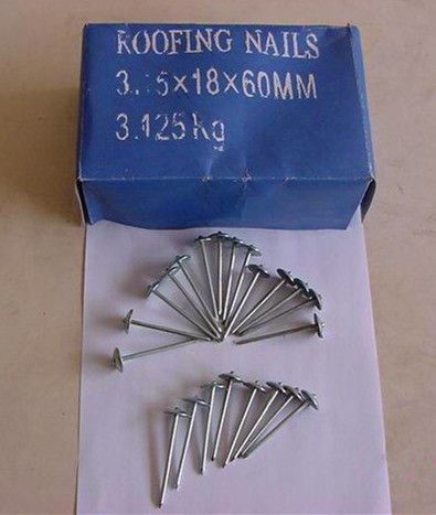 Roofing Nail (without rubber)