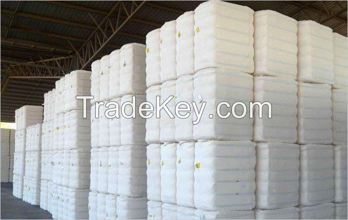 Cotton Bales