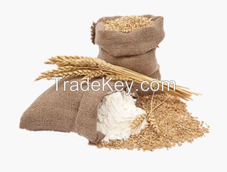 Wheat Flour