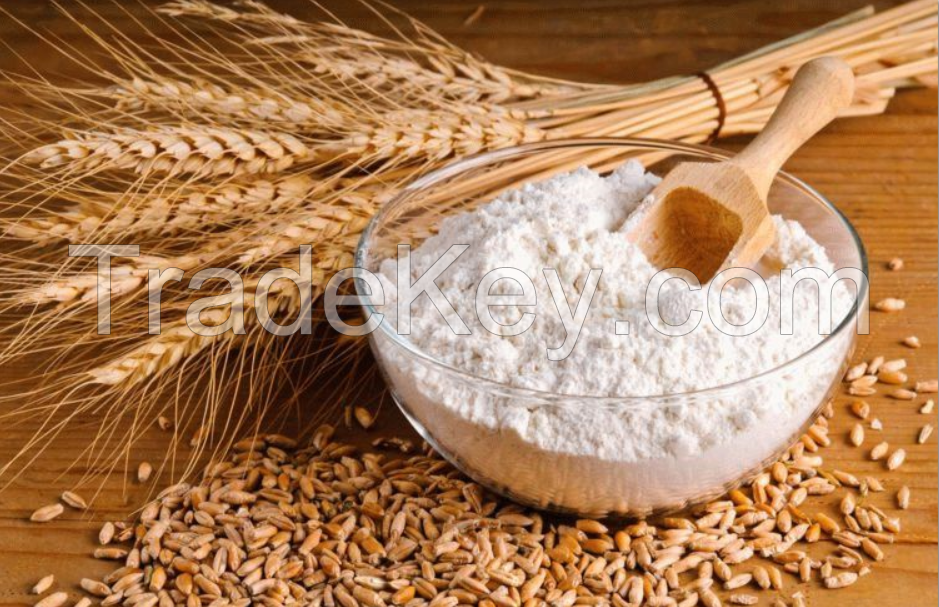 Extra Grade - Wheat Flour (Unbleached)