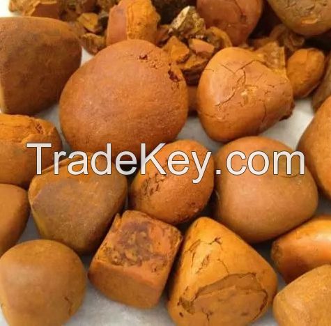 Ox Gallstones, Cattle Gallstones, Cow Gallstones