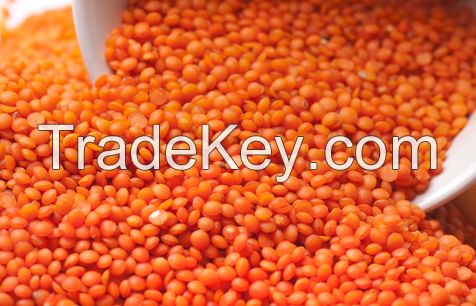 Quality Split Red Lentils & Red Whole Lentils 