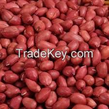 High Quality kenyan Dried New Crop Peanuts Kernel Without Shell