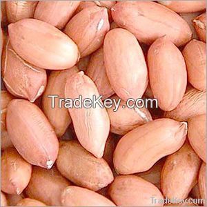 High Quality kenyan Dried New Crop Peanuts Kernel Without Shell